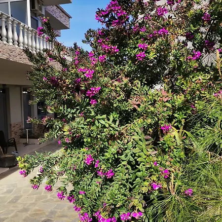 Lia Adults Only -fully Renovated Apartment